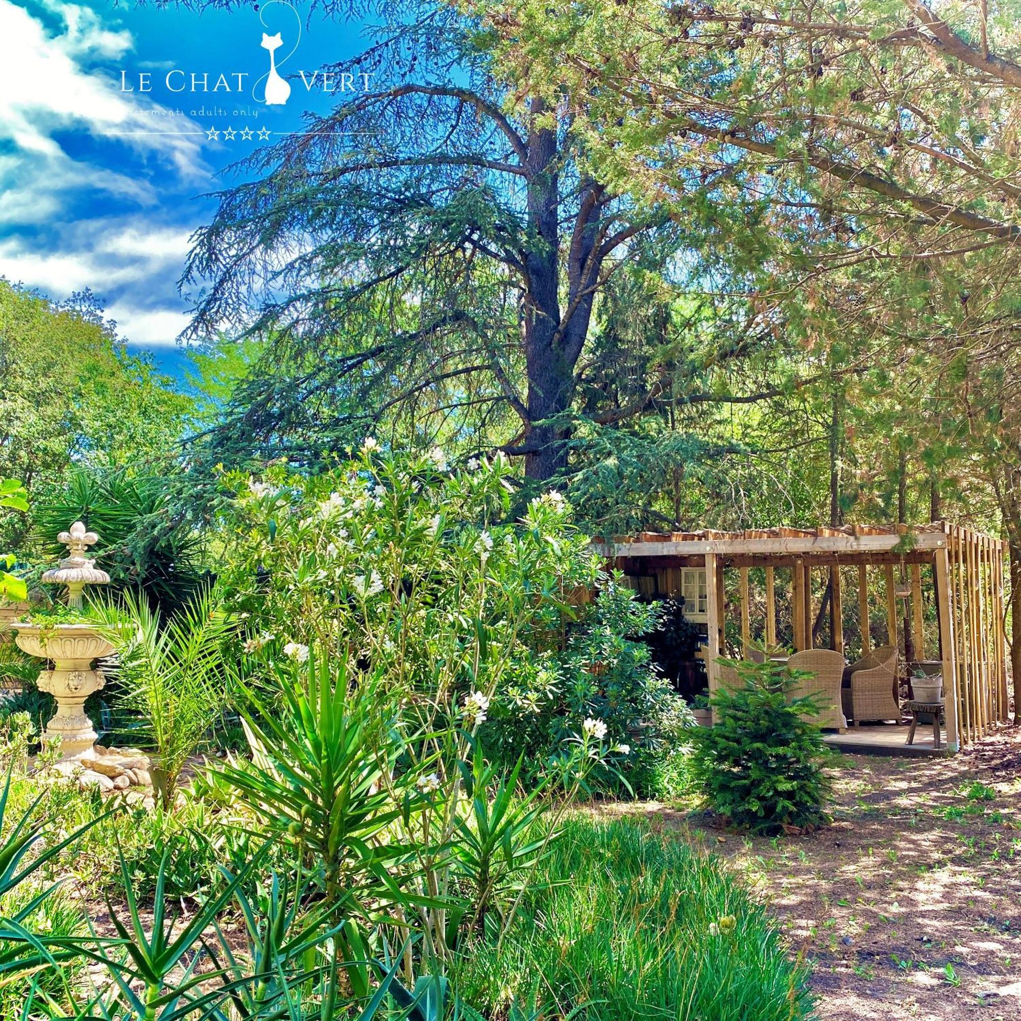 Le Chat Vert - Appartements Adults Only Saint-André Εξωτερικό φωτογραφία
