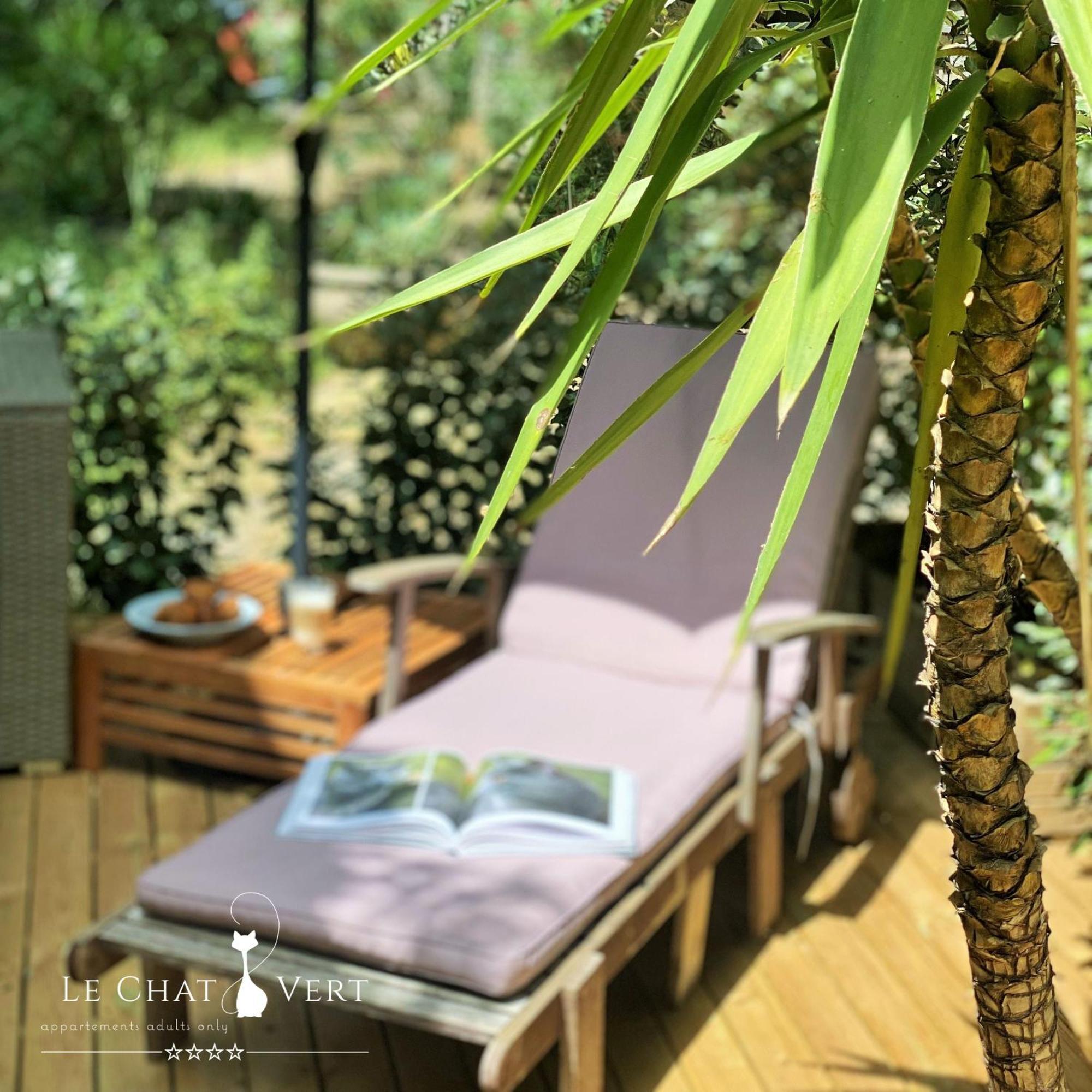 Le Chat Vert - Appartements Adults Only Saint-André Εξωτερικό φωτογραφία